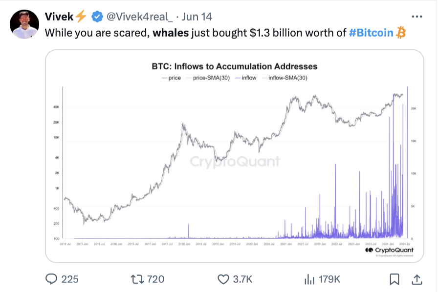 Bitcoin whale watching is ‘useless’ for information — Traders
