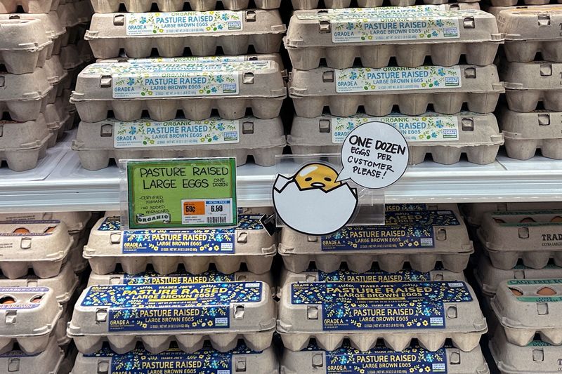 Turkey to export 15,000 tonnes of eggs to US amid bird flu disruptions