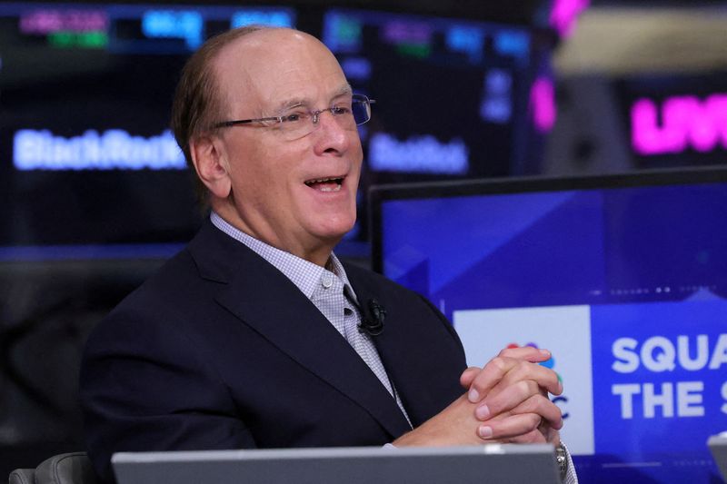 BlackRock’s Fink sees trillions of dollars idle as volatility persists