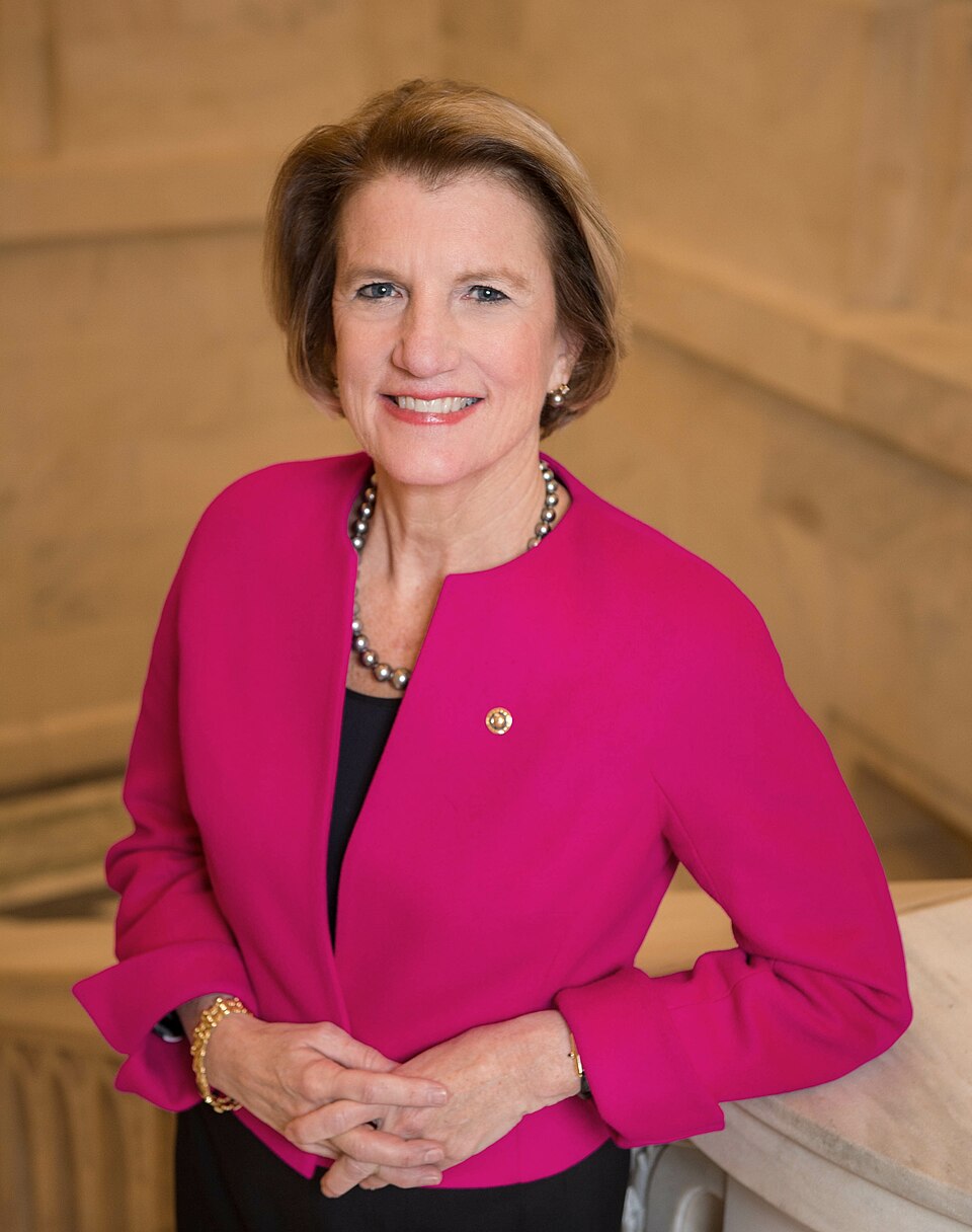 Which senators invest in crypto? 11 lawmakers have blockchain-related investments