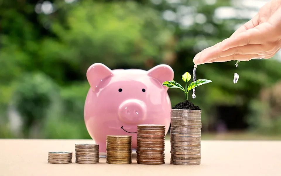 Motley Fool CEO Tom Gardner: S&P 500 (VOO) at 25× Earnings Is Stretching Valuations